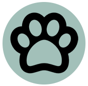 picto animal autoriser picto animal autoriser
